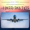 Travel Agency (1).jpg