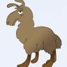 Jammysllama