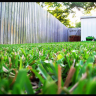 cutgrassandlawncare
