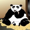 Amanda_Panda