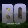 Birkir Orri