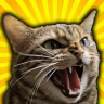 Tacocat