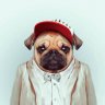 ImNotFrank