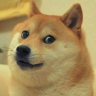 MuchDoge