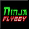 Ninja Flyboy