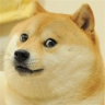 TheDogeWalker