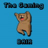 TheGamingBair