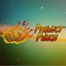 Project Punch