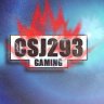 CSJ293