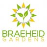 Braeheid