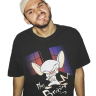 cleanprince