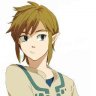 Link