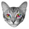 Nyancraze