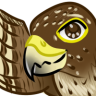 HeyFalcon