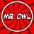 Mr Owl