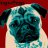 Hugs4Pugs