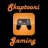 GamerSkaptooni