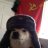 Cyka Doge