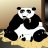 Amanda_Panda
