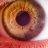 MacroTube