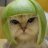 curiouskitty